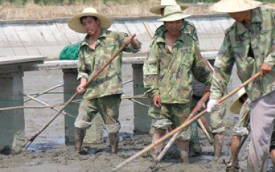 养殖基地