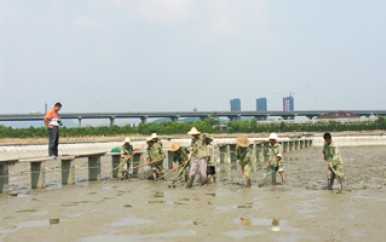 养殖基地