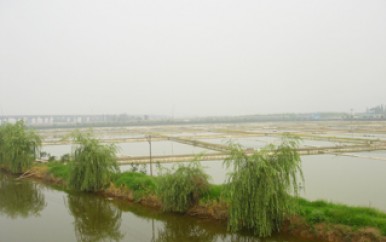 养殖基地